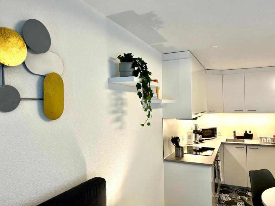 Casa Ambizione Apartment Dietikon Bagian luar foto