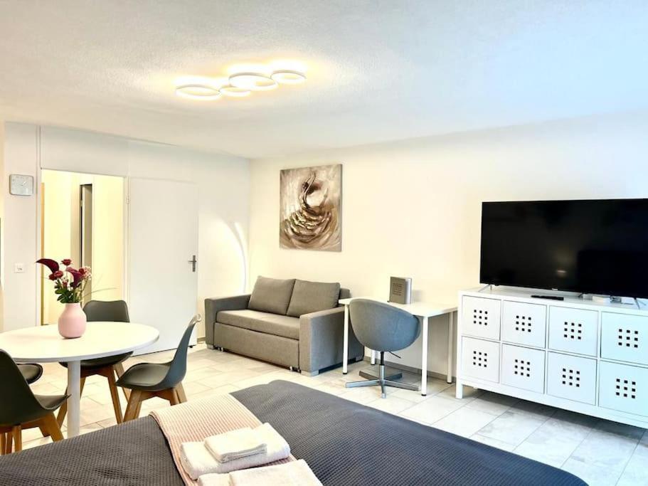 Casa Ambizione Apartment Dietikon Bagian luar foto