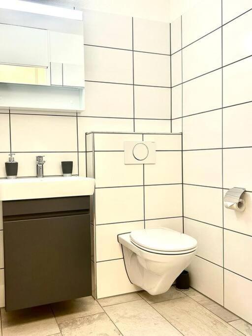 Casa Ambizione Apartment Dietikon Bagian luar foto