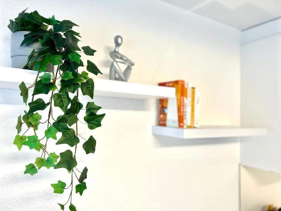 Casa Ambizione Apartment Dietikon Bagian luar foto