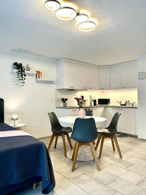 Casa Ambizione Apartment Dietikon Bagian luar foto