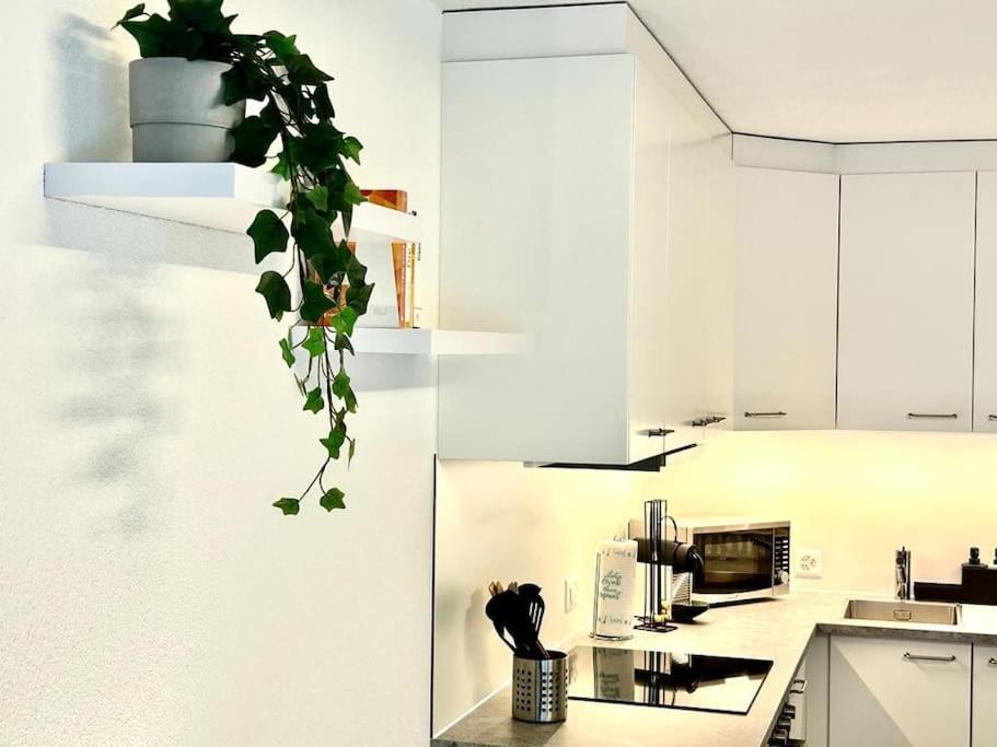 Casa Ambizione Apartment Dietikon Bagian luar foto