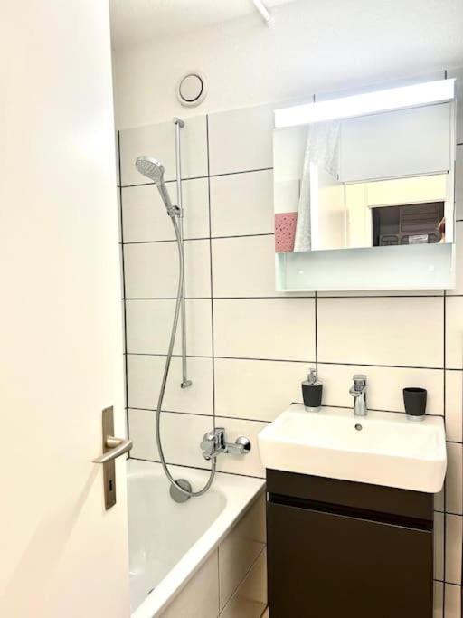 Casa Ambizione Apartment Dietikon Bagian luar foto