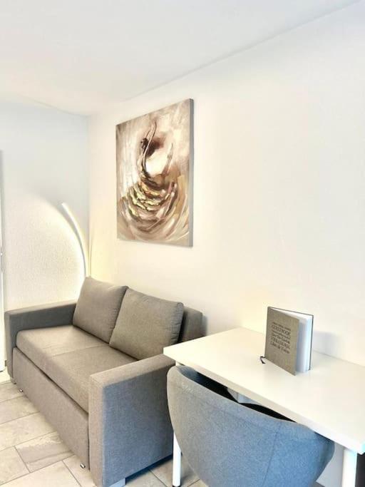 Casa Ambizione Apartment Dietikon Bagian luar foto